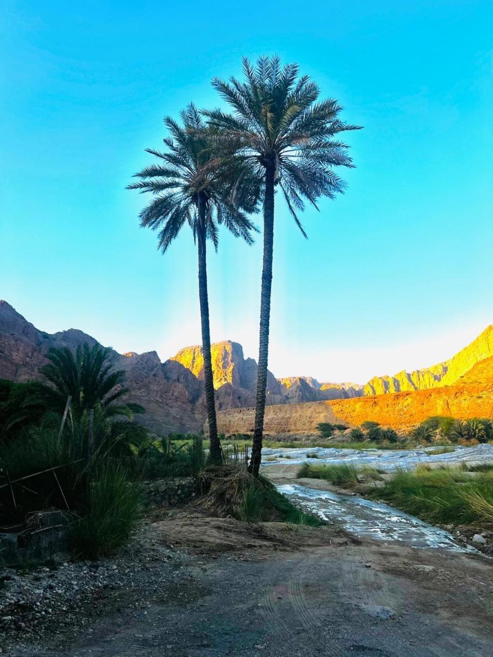 Wadi Al Arbeieen Resort Firq Buitenkant foto